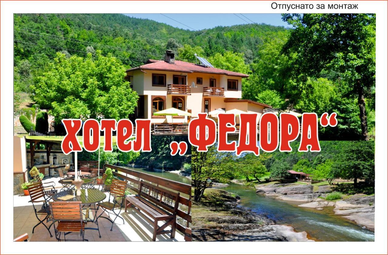 Hotel семеен федора 2*
